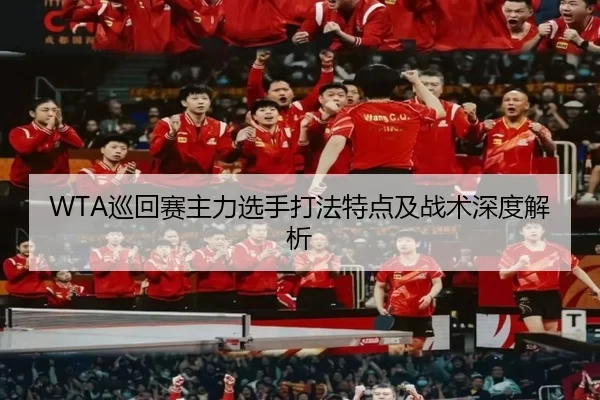 WTA巡回赛主力选手打法特点及战术深度解析